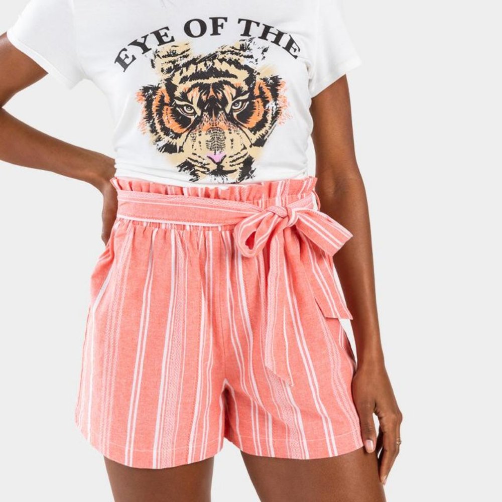Francesca's Striped Paperbag Shorts Salmon